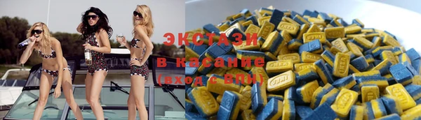 крисы Аркадак