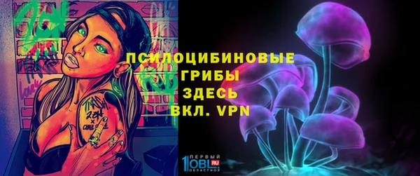 первитин Арсеньев